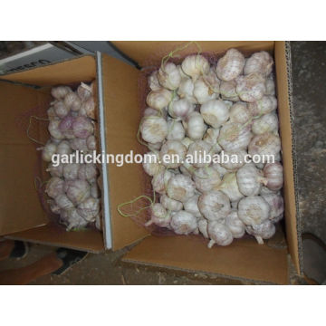 Weißer Knoblauch / Weißer Knoblauch aus Shandong / Weißer Knoblauch zum Verkauf